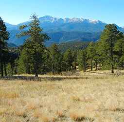 Colorado: Upper Monument Creek Landscape Restoration Initiative: Report and Recommendations