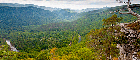 west virginia conservation science nature conservancy