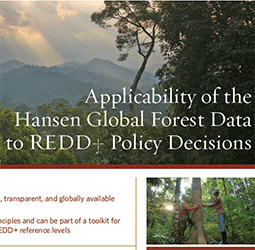 Applicability of the Hansen Global Forest Data to REDD+ Policy Decisions