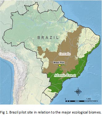 brazil-map-text.jpg