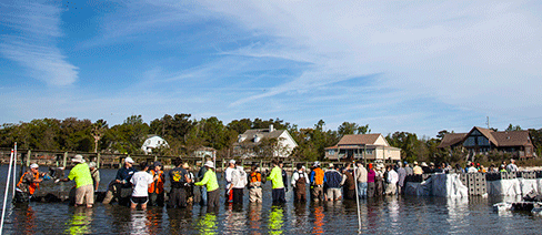 Coastal Resilience Climate Change The Nature Conservancy marine conservation