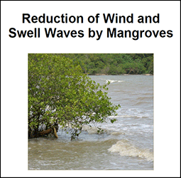 Reduction of wind and swell waves by mangroves