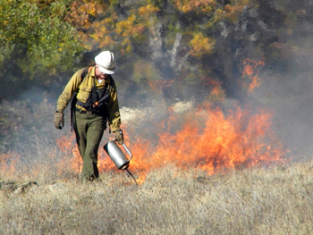 Big Creek Burn (c) Marie Buell / Watershed Center